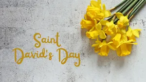 St David's Day Wallpaper