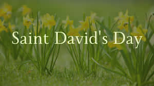 St David's Day Wallpaper