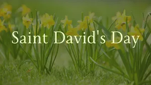 St David's Day Wallpaper