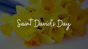 St David's Day Wallpaper