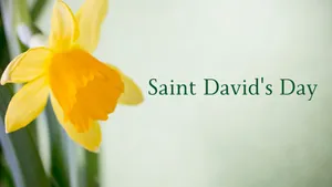 St David's Day Wallpaper