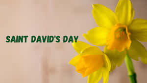 St David's Day Wallpaper