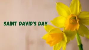 St David's Day Wallpaper