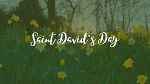 St David's Day Wallpaper