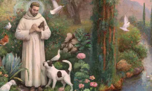 St Francis Of Assisi With Animals Wallpaper