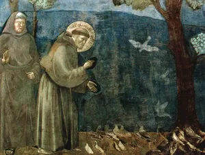 St Francis Preachingto Birds Wallpaper