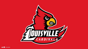 St Louis Ville Cardinals Wallpaper