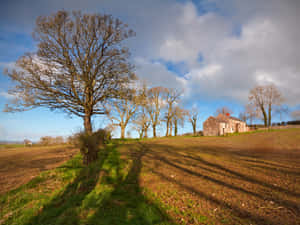 St. Patrick's Cathedral In Armagh, Northern Ireland Wallpaper