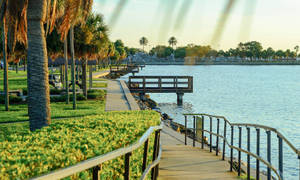 St Petersburg Baywalk Hd Wallpaper