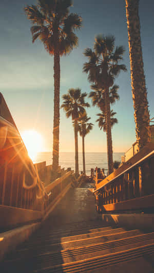 Stair & Palm Tree In San Diego Iphone Wallpaper