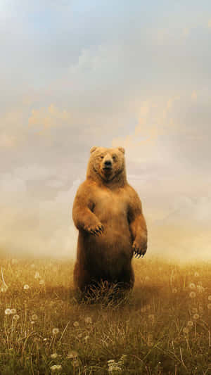 Standing Bearin Misty Meadow Wallpaper