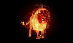 Standing Fire Lion In Black Backdrop Wallpaper