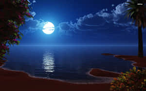 Standing In Awe Of A Moonlit Night Wallpaper