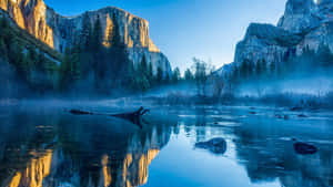 Standing In Solitude, The Granite Rock Wall Of El Capitan Intrigues The Viewer. Wallpaper