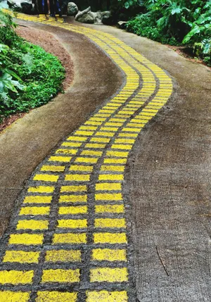 Standing Proudly At The Top Of A Mountain Wallpaper