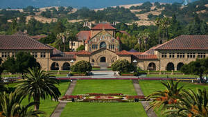 Stanford University Field Aerial View Wallpaper