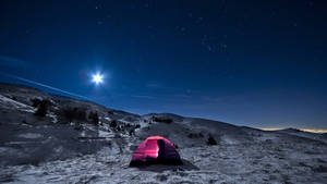 Star Camping Wallpaper