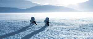 Star Wars Snowtroopers Patrol Ultra Wide Wallpaper