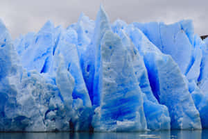 Stark Contrast Of Ice Blue And Bright Yellow On A Sunny Summer Day Wallpaper