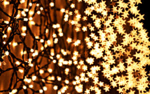 Starlit_ Christmas_ Lights_ Backdrop.jpg Wallpaper