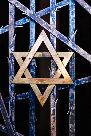 Starof David Metal Gate Wallpaper