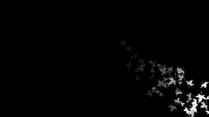 Starry Gradient Black Background Wallpaper