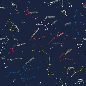 Starry Night Constellations Wallpaper