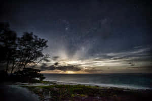 Starry_ Night_ Over_ Coastal_ Shoreline Wallpaper