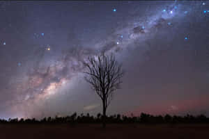 Starry Night Silhouette Wallpaper