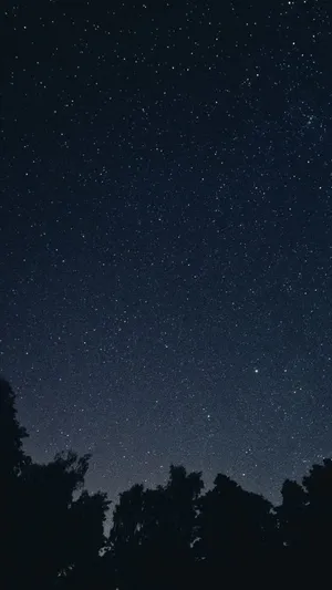 Starry Night Sky Galaxy Dark Iphone Wallpaper