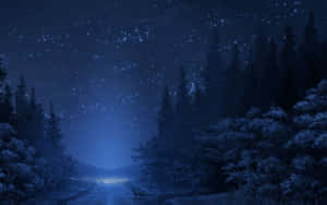 Starry Night Winter Forest Path Wallpaper