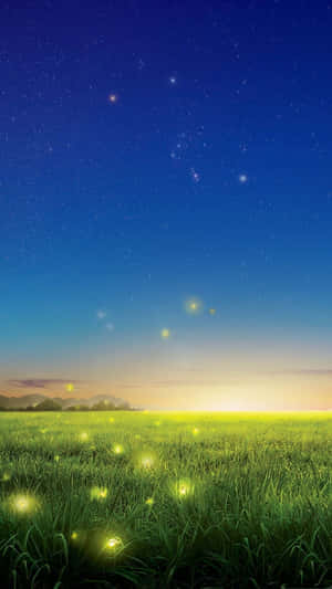 Starry_ Night_with_ Lightning_ Bugs Wallpaper