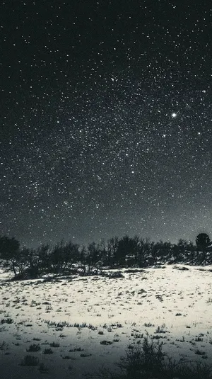 Starry Winter Night_ Snowscape.jpg Wallpaper