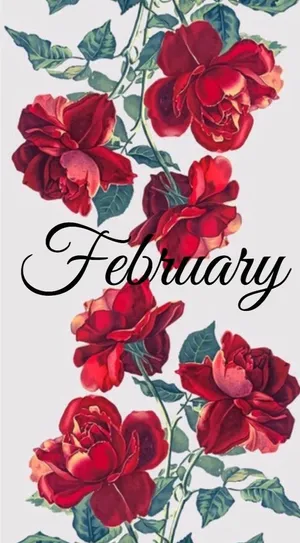 Start Your February With Excitement And Happiness! Wallpaper