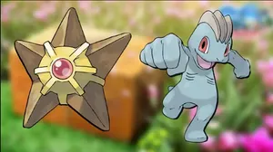 Staryu And Machop Pokemon Species Wallpaper