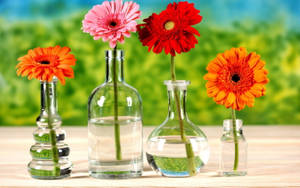 Static Flowers In A Bottle Wallpaper