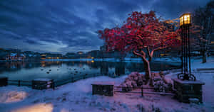 Stavanger Winter Twilight Landscape Wallpaper