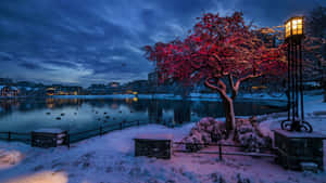 Stavanger Winter Twilight Landscape Wallpaper