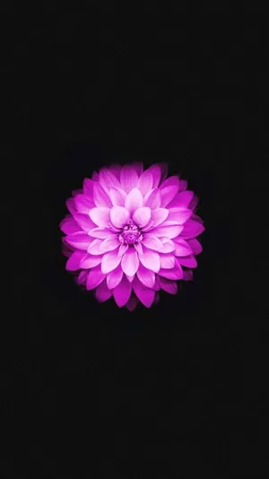 Stay Ahead Of The Curve With The Sleek Iphone 6s. Wallpaper