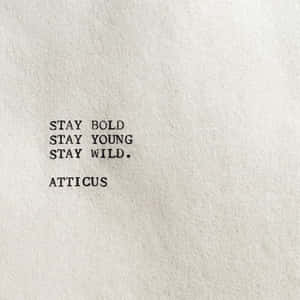 Stay Bold Young Wild Quote Atticus Wallpaper