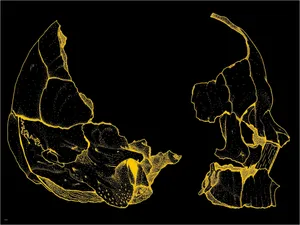 Stay Connected In Style With A Grunge-inspired Laptop Wallpaper