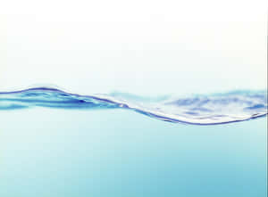 Stay Hydrated! Wallpaper