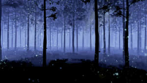 Stay In Tune With The Beauty Of Nature With A View Of A Moonlit Night Forest. Wallpaper