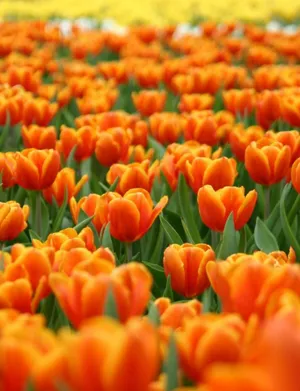 “stay Positive & Enjoy The Little Things” Wallpaper