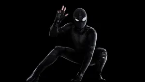 Stealthy Spider-man Wallpaper