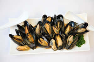 Steamed Mussels Platter Wallpaper