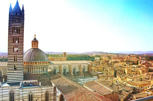 Steeple Of Duomo Di Siena Wallpaper