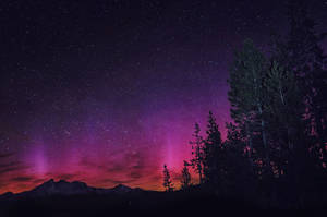 Stellar Rare Red Northern Lights Hd Wallpaper