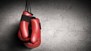 Step In The Ring: Taking The Sport Of Boxing Up A Notch. Wallpaper