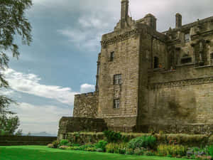 Sterling Castle Greenery Wallpaper